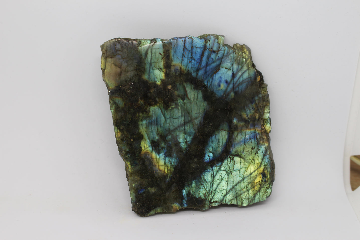 Labradorite Slabs - Blue Flash