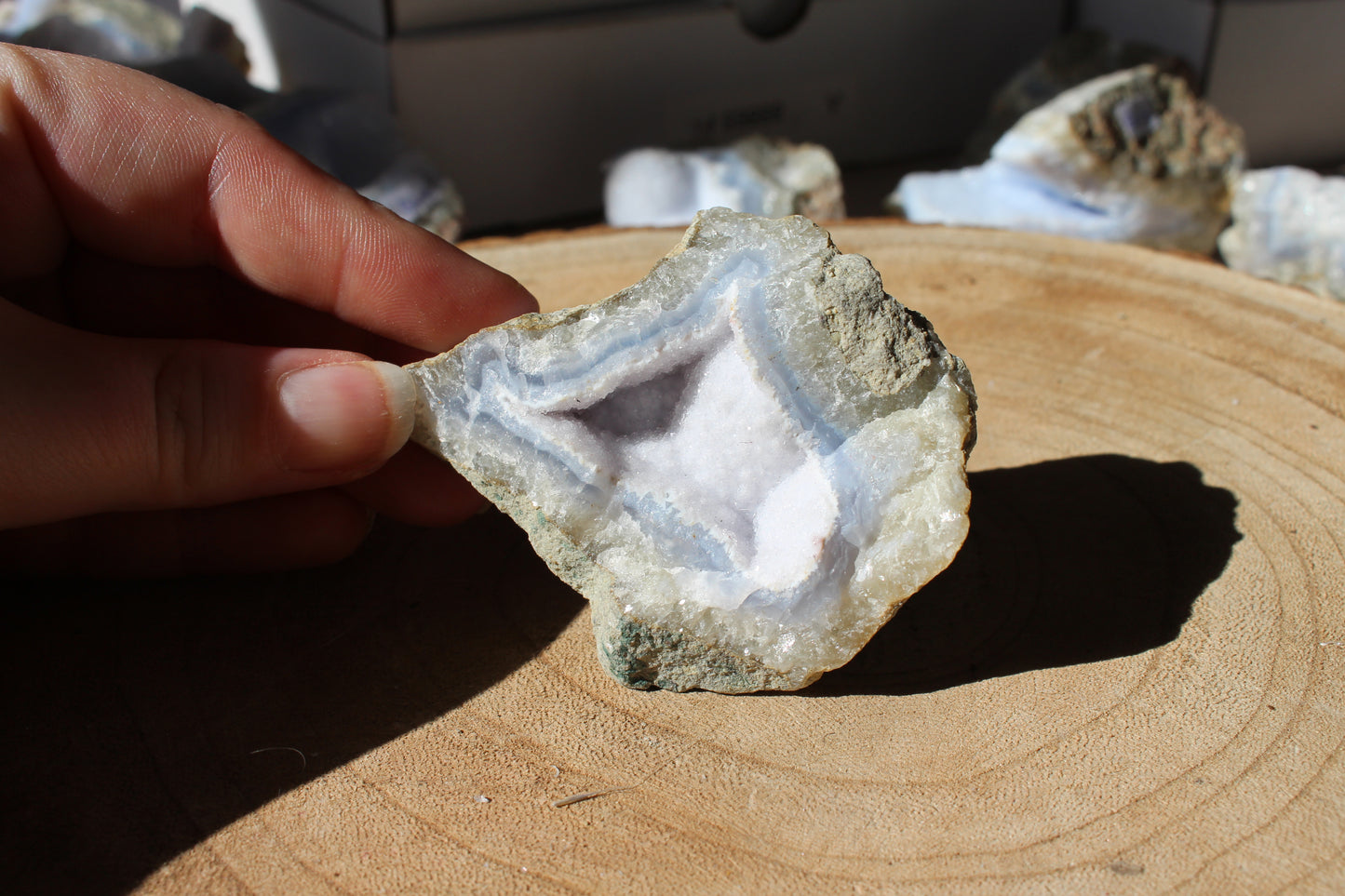 Blue Lace Geodes