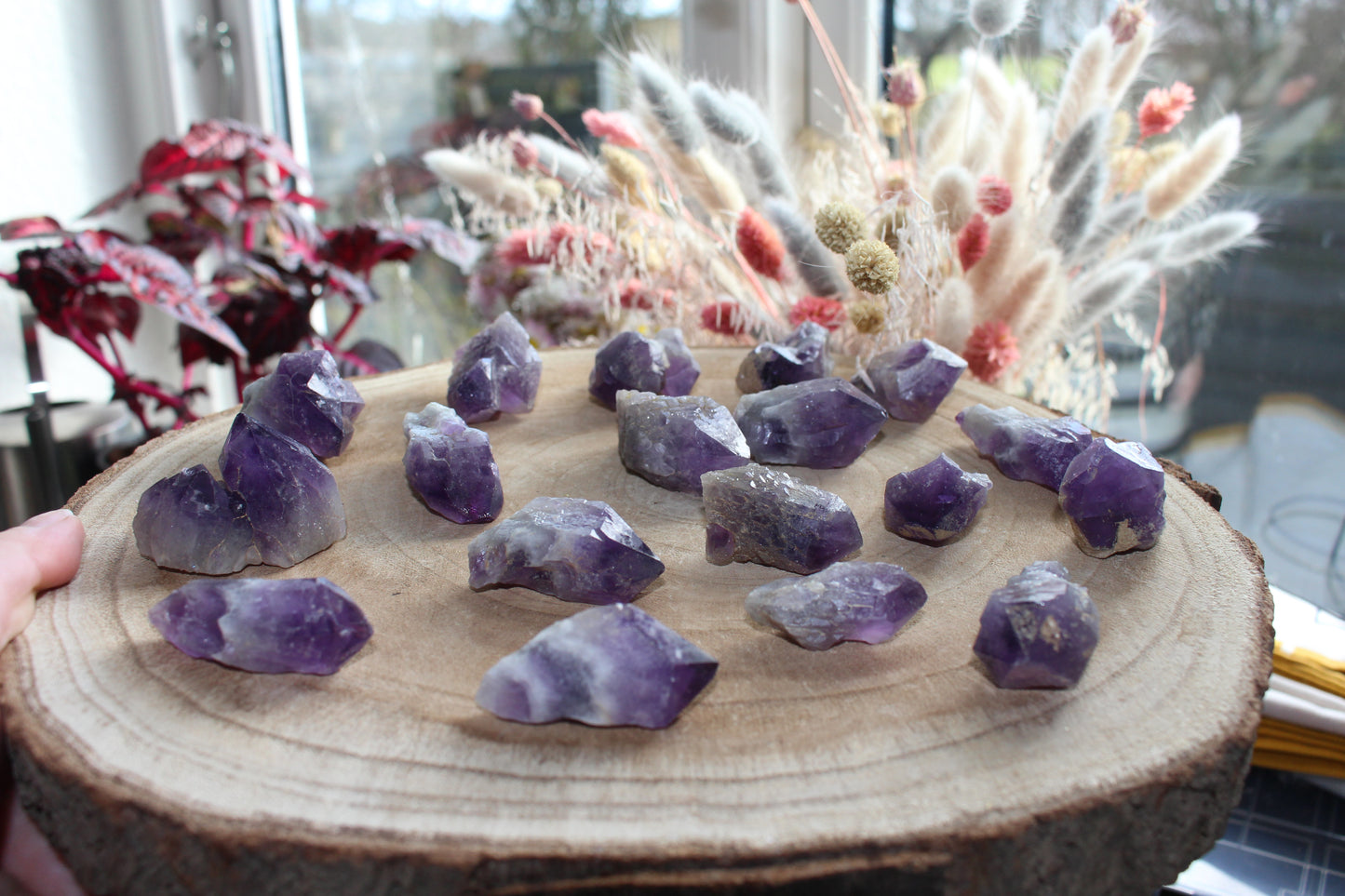 Small Amethyst Points & Clusters