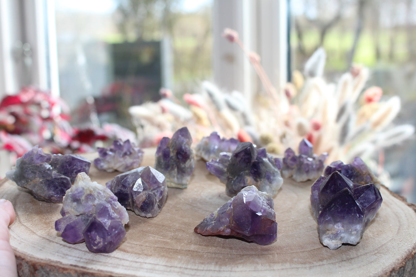 Small Amethyst Points & Clusters